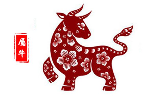 属牛的今年多大 属牛的今年多大